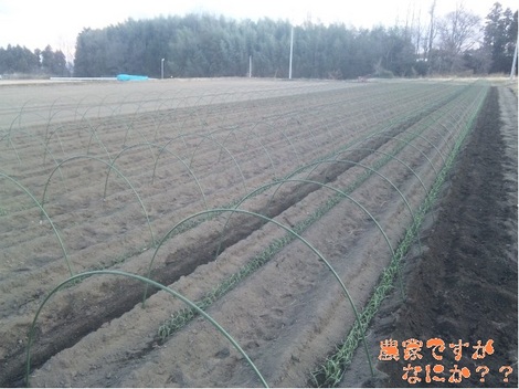 20111228 トンネル支柱.jpg