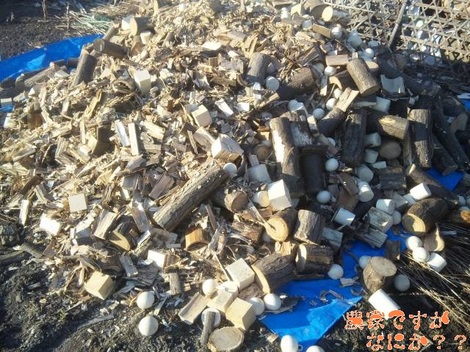 20120129 薪.jpg