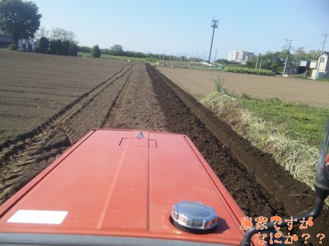 20120520 溝掘り.jpg