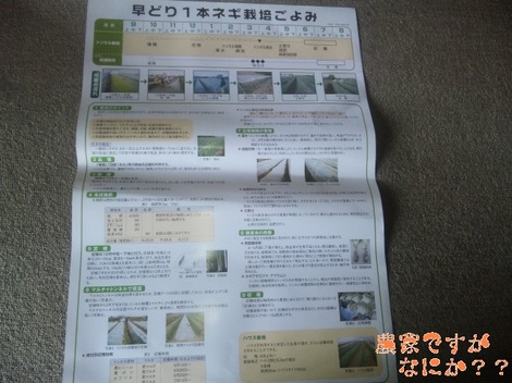 20120601 ポスター.jpg