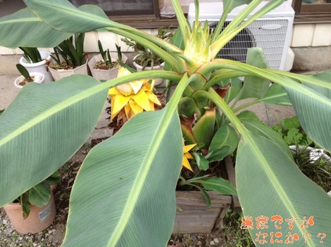 20120730 1.jpg