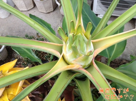 20120730 2.jpg