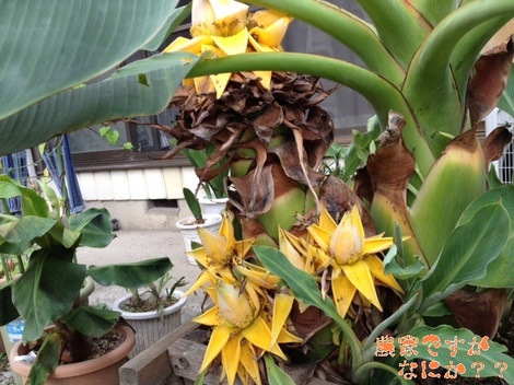 20120730 3.jpg