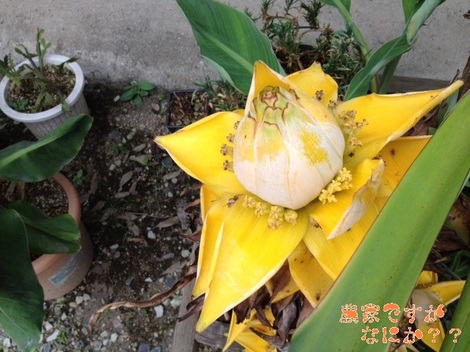 20120730 4.jpg