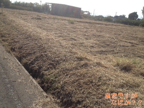 20121124 後始末.jpg