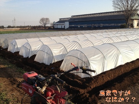 20130109支柱たてとビニールかけ.jpg