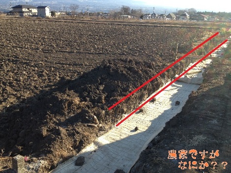 20130210石垣.jpg