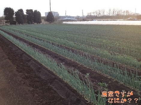 20130307トンネル撤去.jpg