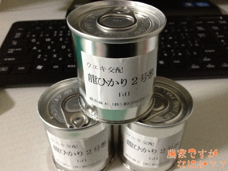 20130402 龍ひかり.jpg
