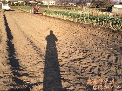 20140131長ねぎ.jpg