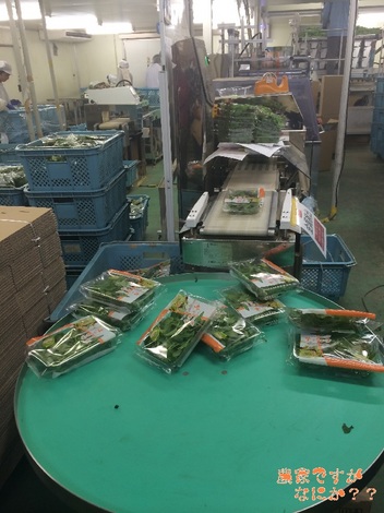 20141001TKF出荷調整2.jpg