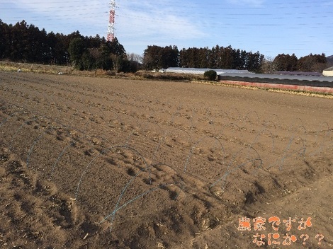 20150228第2.jpg