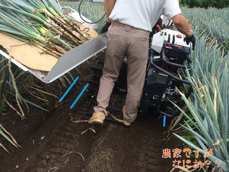 20150828長ねぎ掘り取り機2.jpg