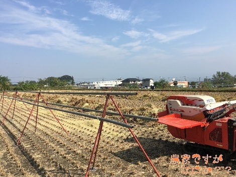 20151021脱穀終了.jpg