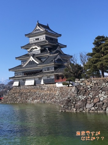 20160212松本城.jpg