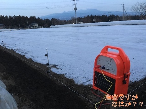 20160225電気柵設置.jpg