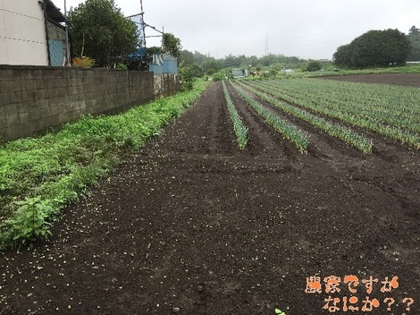 20160829あらい6-1.jpg