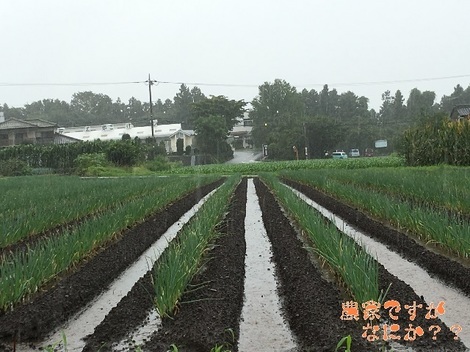 20160829長岡8-2.jpg