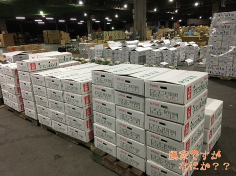 20161218出荷.jpg