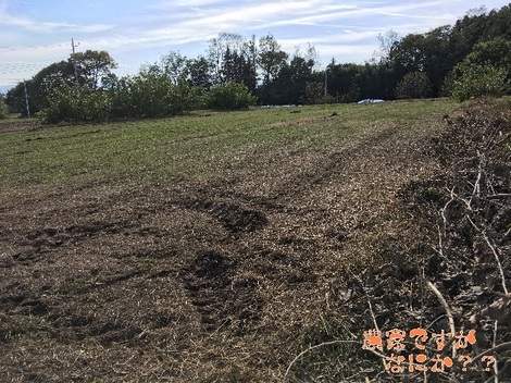 20171102農地4後.jpg