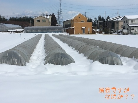 20180123トンネル.jpg