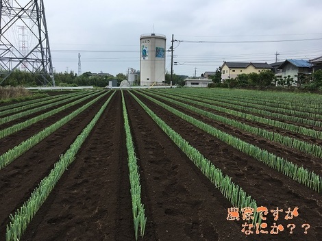 20180619新井4.jpg