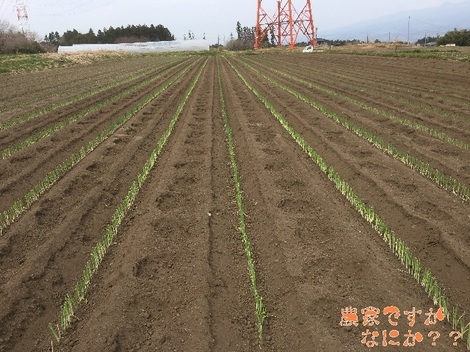 20190418 第9.jpg