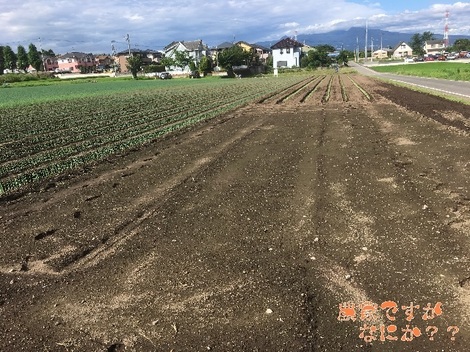 20190728広馬場1.jpg