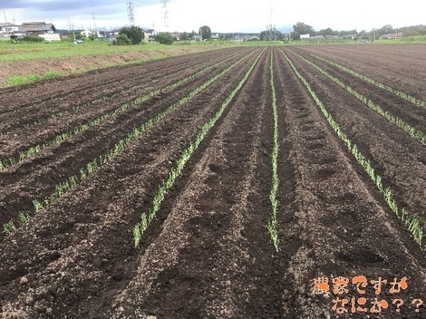 20190728新井2.jpg