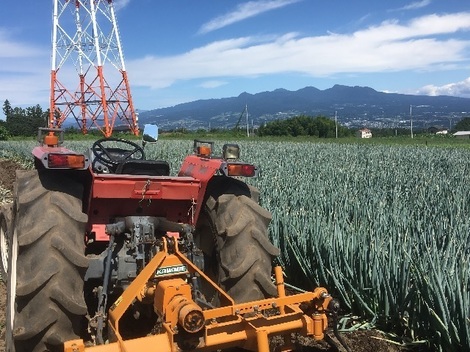 20190924ねぎ掘り.jpg