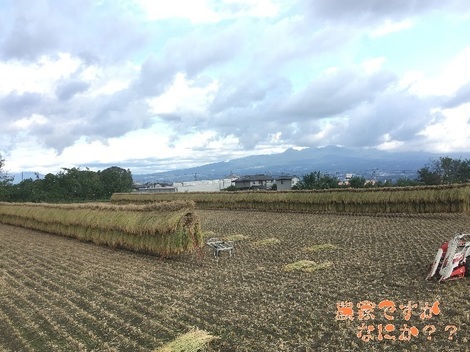 20191006はざがけ.jpg