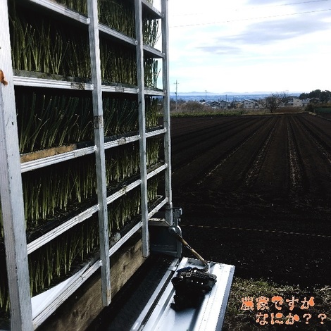 20191229トンネル2.jpg