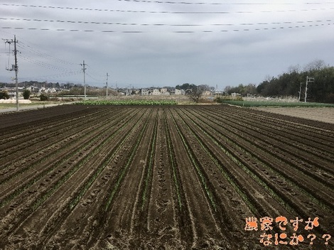 20191229トンネル3.jpg