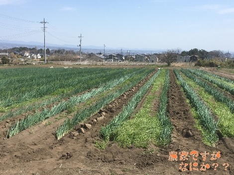 20200403トンネル撤去.jpg
