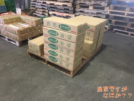 20200524出荷終了.jpg