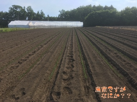 20200611みさと4.jpg