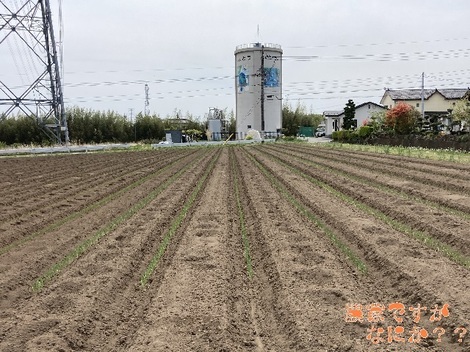 20210427新井4.jpg