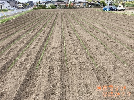 20210427新井5.jpg