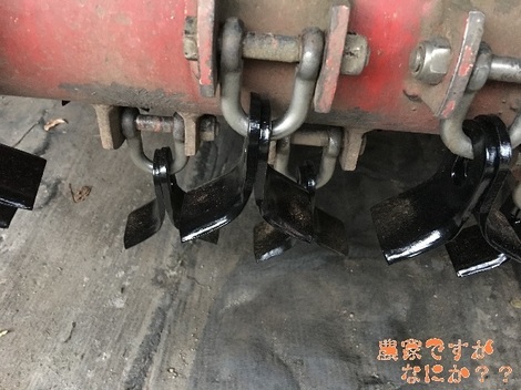 220180728フレール爪.jpg