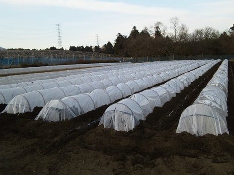 20091227トンネル.jpg